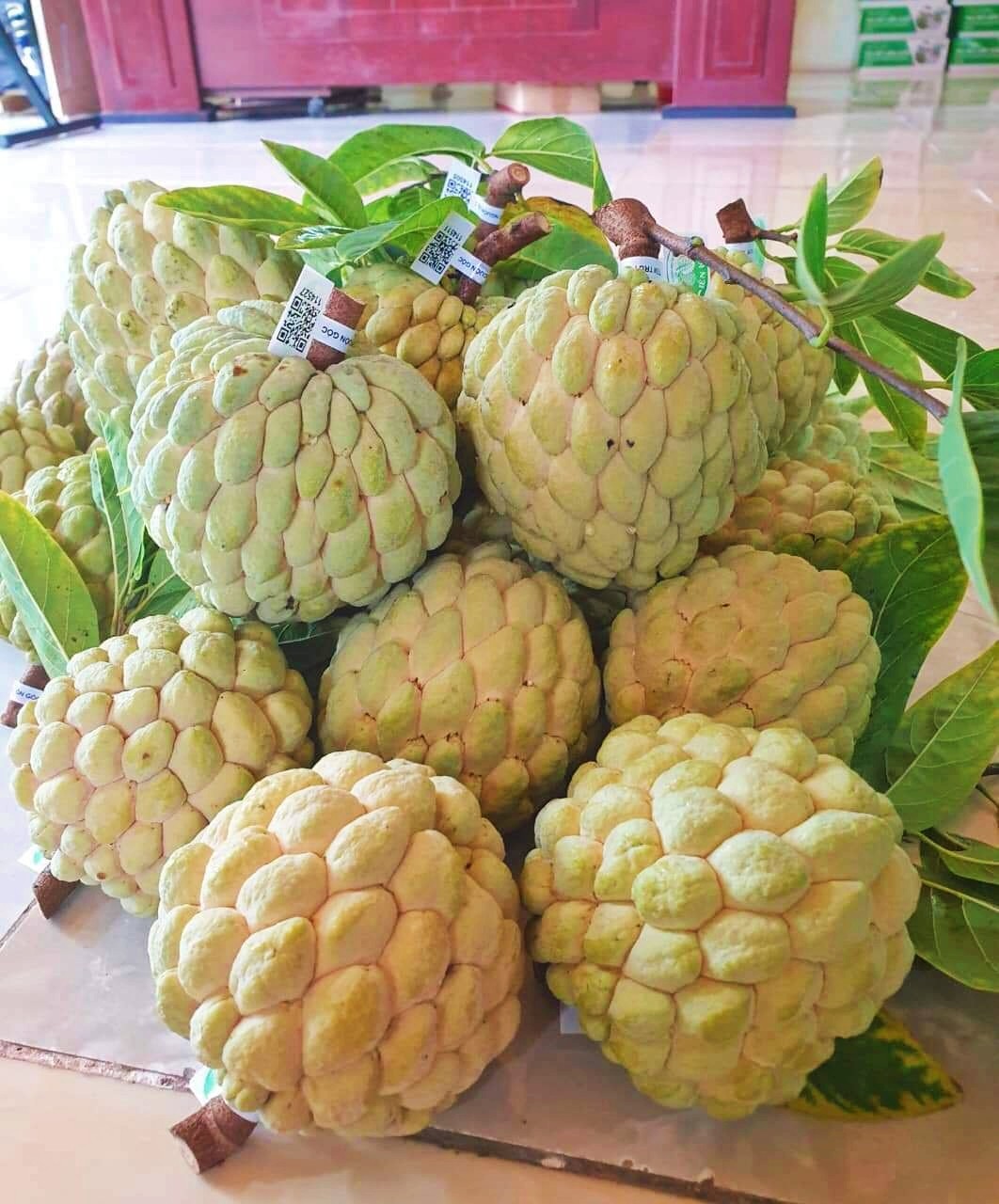 Một loại trái cây được thực khách săn tìm, nông dân bỏ túi nửa tỉ đồng/ha - Ảnh 1