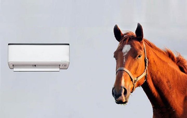 Vì sao gọi là điều hoà "1 ngựa, 2 ngựa"? Ý nghĩa thật sự là gì? Thì ra bấy lâu rất nhiều người hiểu sai - Ảnh 1