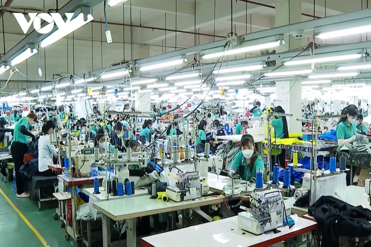 Giải pháp thúc đẩy xuất khẩu 6 tháng cuối năm 2024 - Ảnh 1