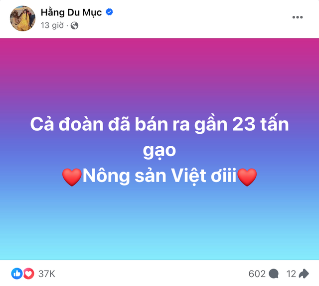Hằng Du Mục "flex" lượng gạo khổng lồ đã bán trong livestream, tiếp tục kêu gọi ủng hộ Quang Linh Vlogs - Ảnh 6