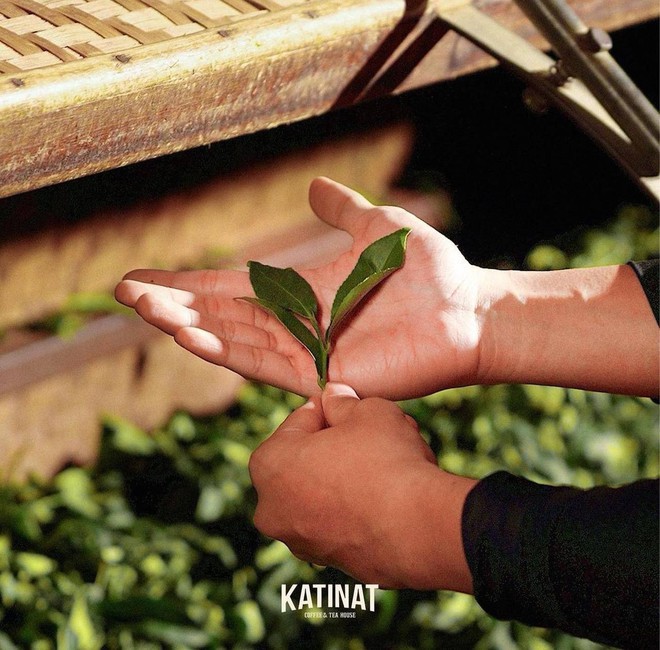 Thực hư 2 brand đồ uống Việt nổi tiếng nhất hiện nay đã về chung nhà, từ slogan đến cách PR cứ na ná nhau? - Ảnh 16