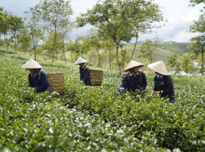 Thực hư 2 brand đồ uống Việt nổi tiếng nhất hiện nay đã về chung nhà, từ slogan đến cách PR cứ na ná nhau? - Ảnh 20