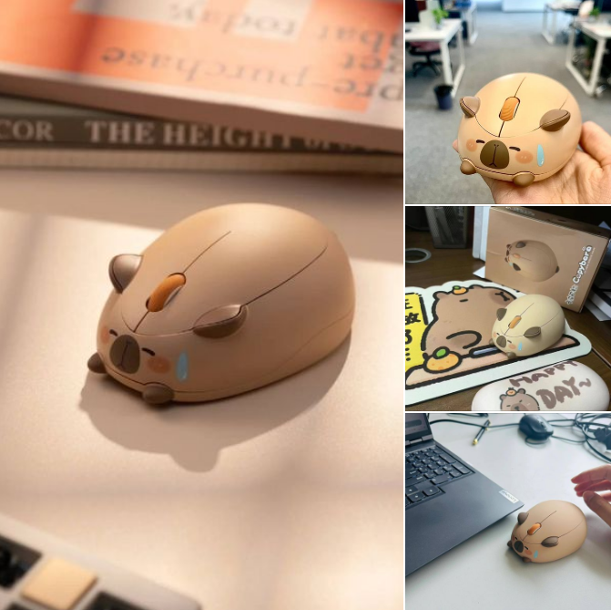 Vì sao chuột Capybara được giới trẻ Việt săn lùng, mê điên đảo? - Ảnh 12