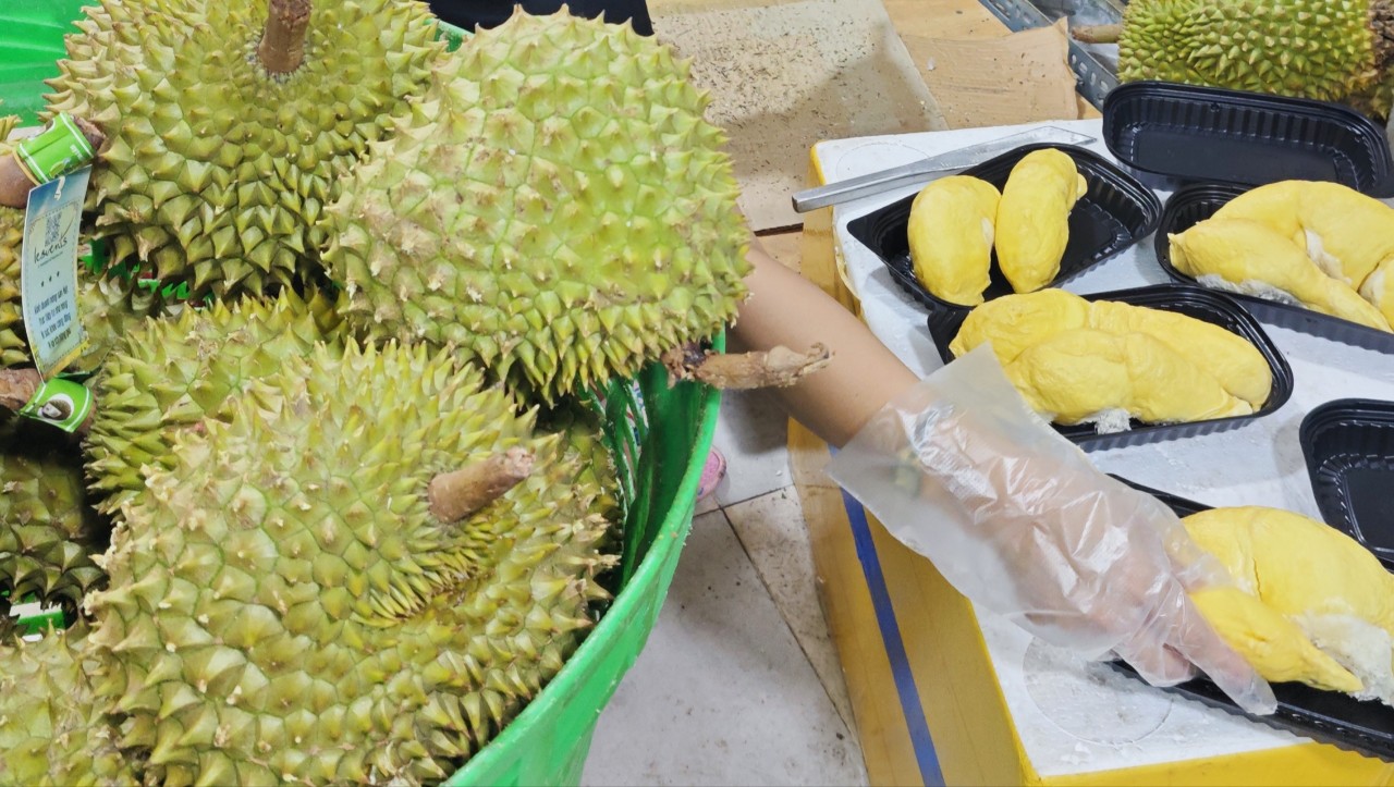 Vì sao giá sầu riêng Ri 6 và Monthong chênh lệch đến 40%? - Ảnh 2