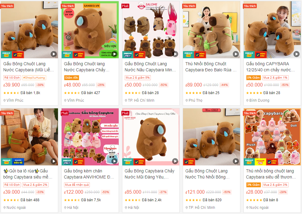 Vì sao chuột Capybara được giới trẻ Việt săn lùng, mê điên đảo? - Ảnh 7