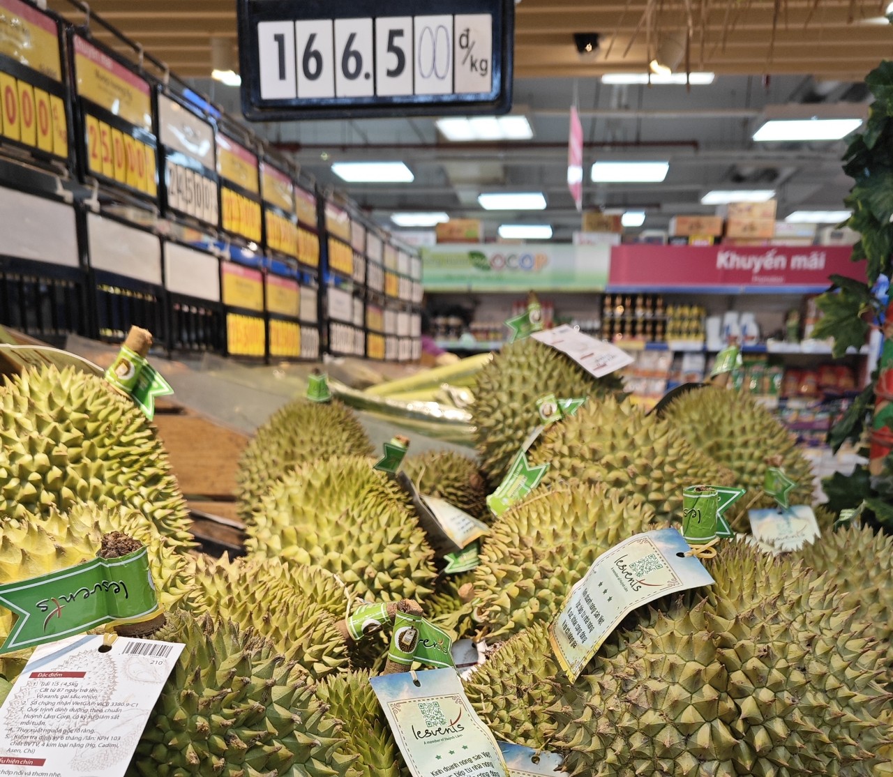 "Hết hồn" với giá 1 múi sầu riêng hơn 200.000 đồng ở siêu thị - Ảnh 3