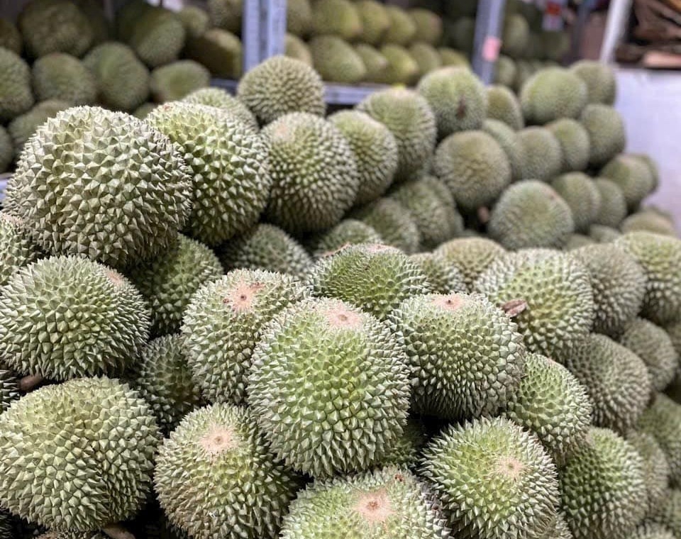 Thêm một loại sầu riêng "độc - lạ" rớt giá mạnh - Ảnh 2