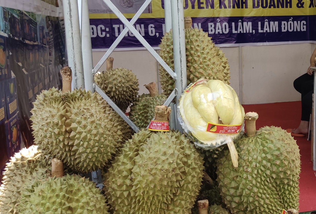 Giá sầu riêng bất ngờ tăng vọt lên hơn 100.000 đồng/kg - Ảnh 1