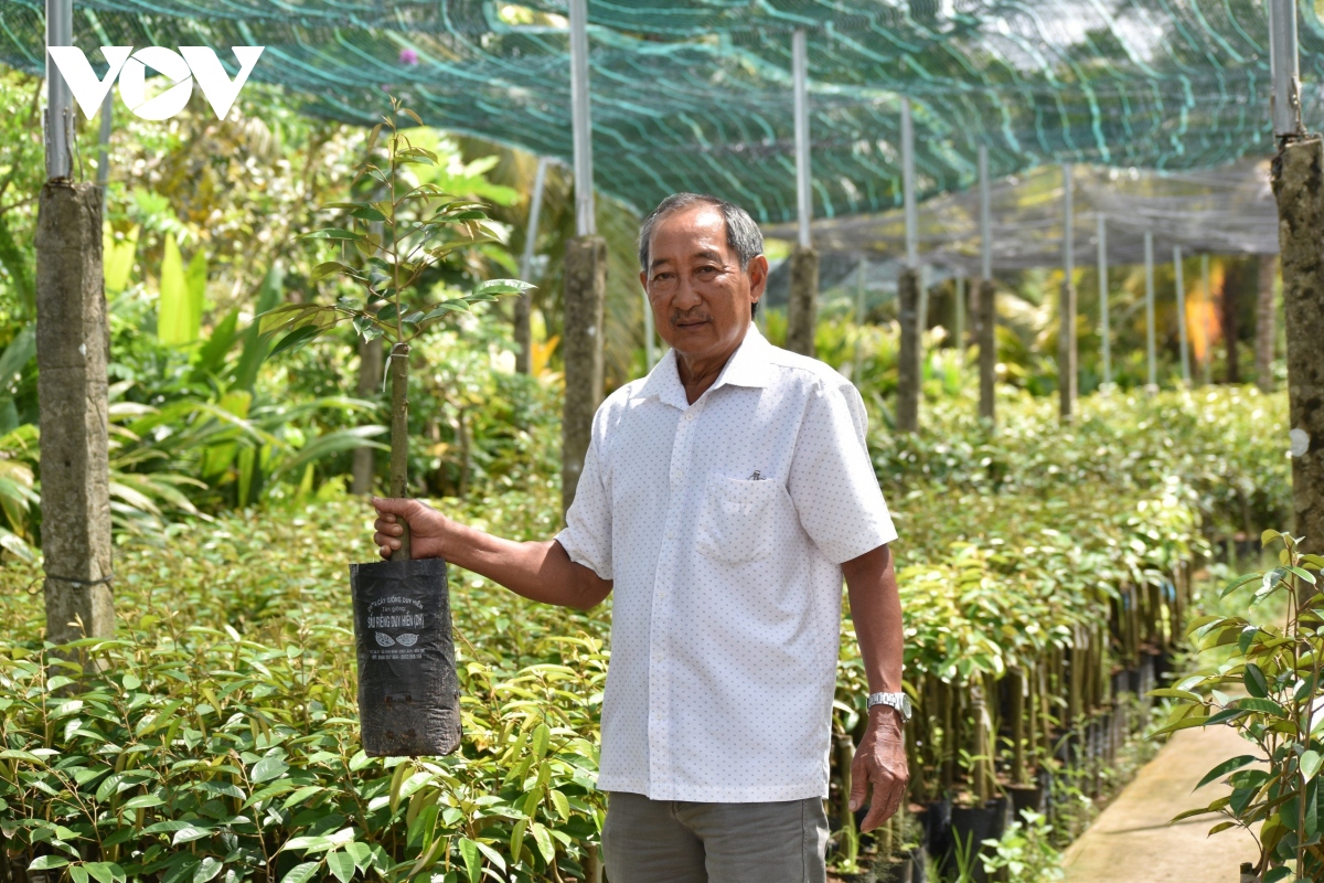 Nông dân Bến Tre sưu tầm giống sầu riêng mới ngon, dẻo lạ thường - Ảnh 3