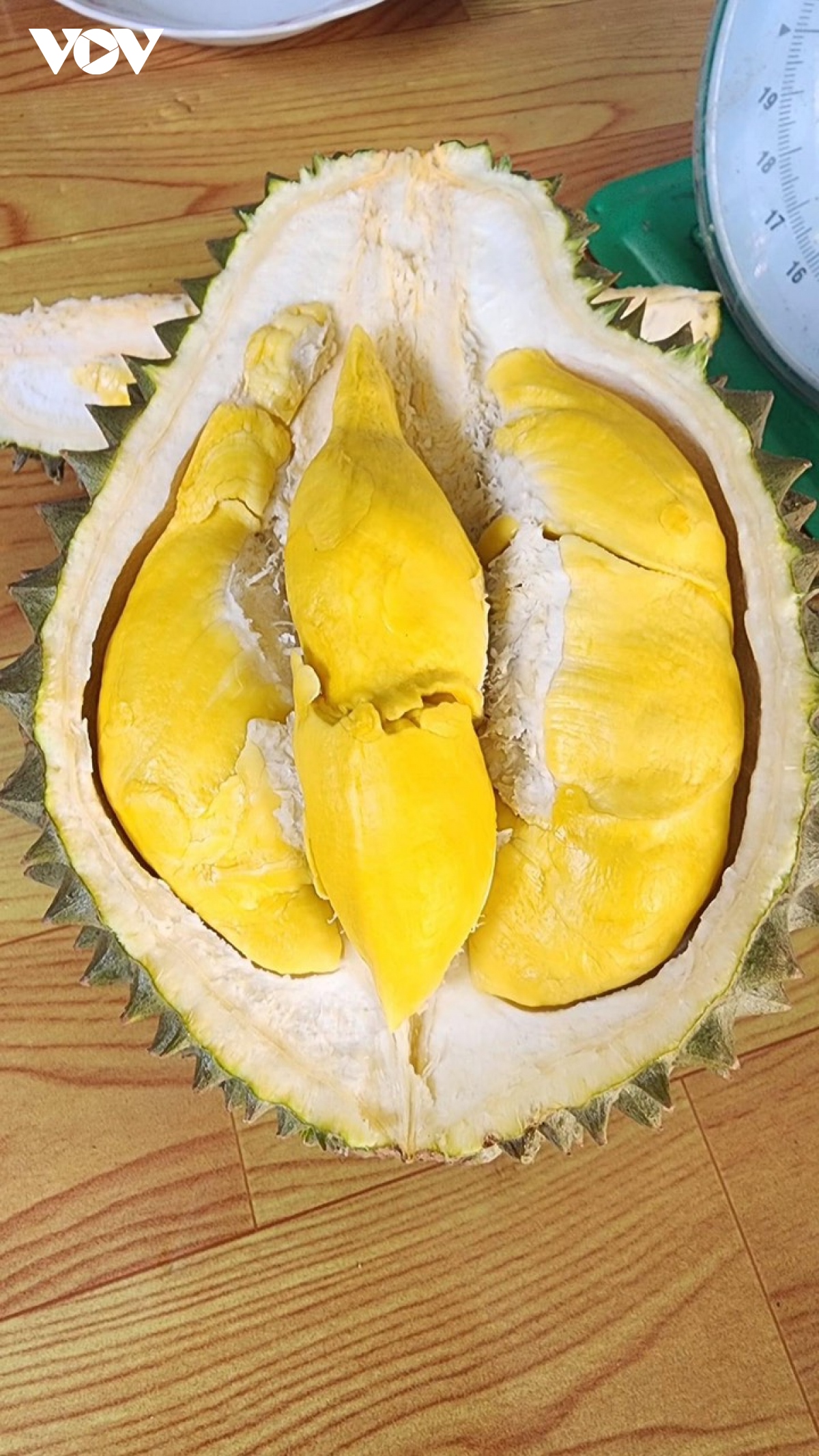 Nông dân Bến Tre sưu tầm giống sầu riêng mới ngon, dẻo lạ thường - Ảnh 2