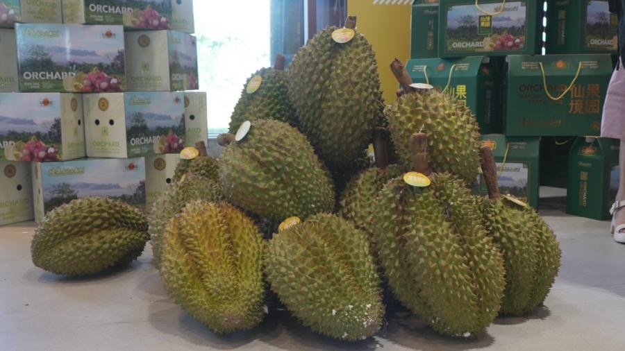 Trung Quốc tăng tốc phát triển ngành sầu riêng - Ảnh 1