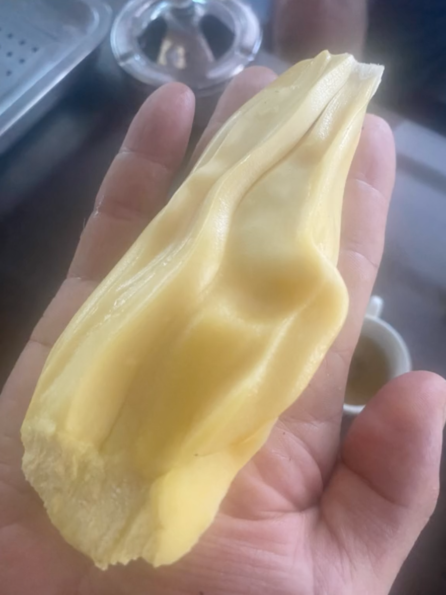 Chủ nhà bổ quả mít 54,5kg ở Hải Dương, múi mít bên trong gây ngỡ ngàng - Ảnh 1