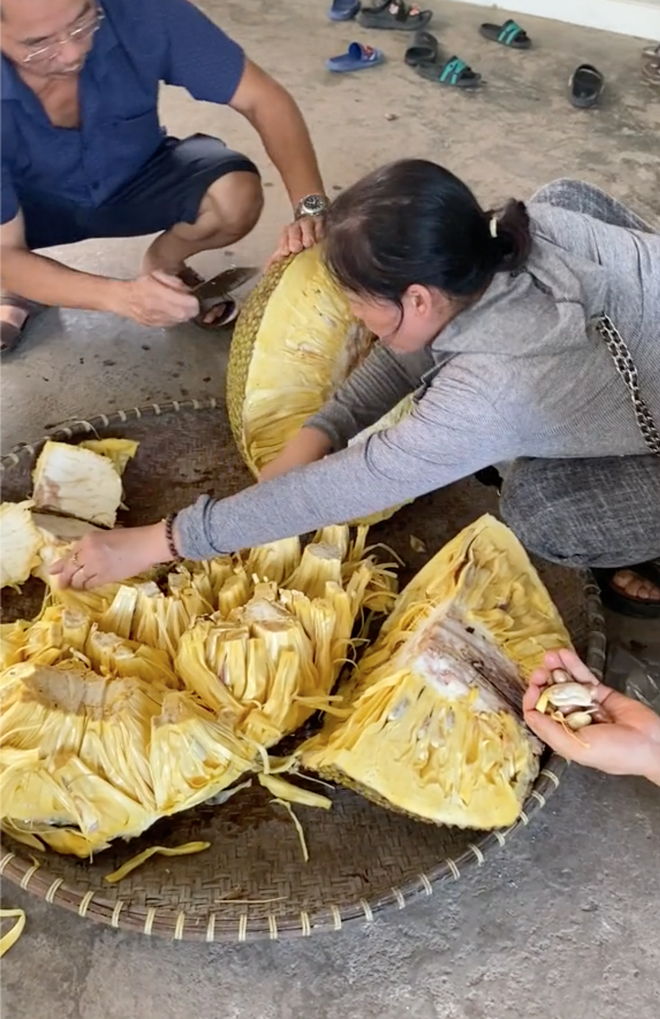 Chủ nhà bổ quả mít 54,5kg ở Hải Dương, múi mít bên trong gây ngỡ ngàng - Ảnh 2
