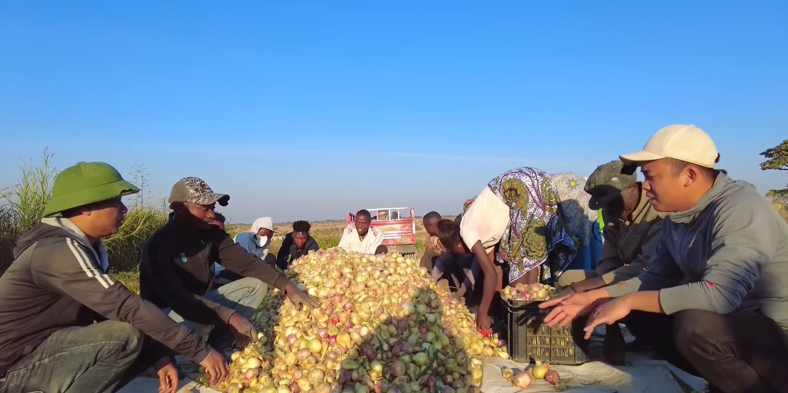 Loại củ bán đầy ở chợ Việt Nam với giá cực rẻ, sang châu Phi thành hàng hiếm được thương lái tranh mua như đặc sản - Ảnh 3