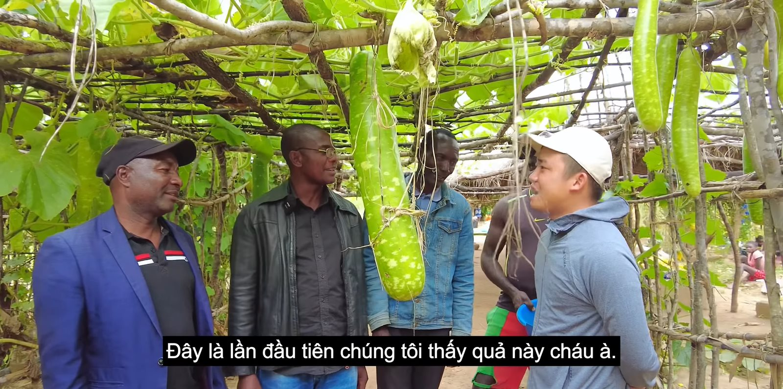 Phó Chủ tịch cùng Bí thư huyện về thăm trang trại của team Quang Linh châu Phi, 'đứng hình' trước giàn củ quả độc lạ từ Việt Nam - Ảnh 2