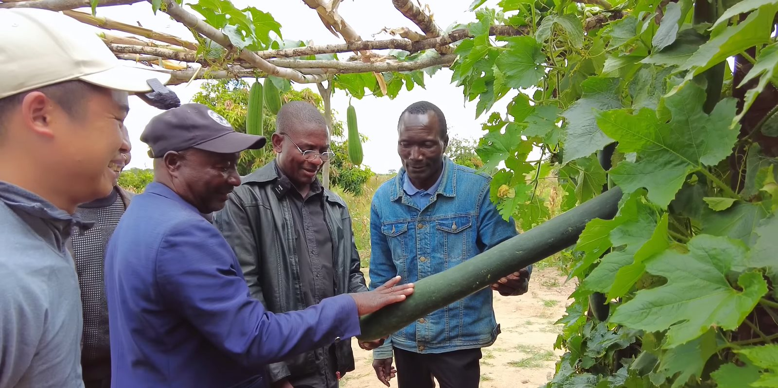 Phó Chủ tịch cùng Bí thư huyện về thăm trang trại của team Quang Linh châu Phi, 'đứng hình' trước giàn củ quả độc lạ từ Việt Nam - Ảnh 3