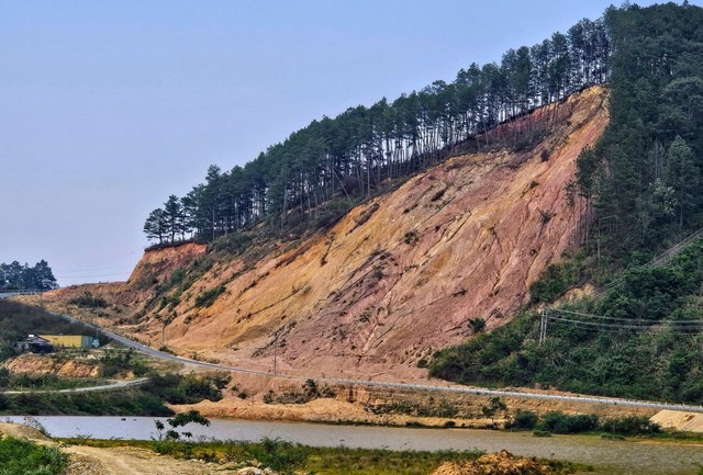 Lâm Đồng: Đề xuất giảm giá gỗ xuống 49 lần sau thanh tra - Ảnh 1