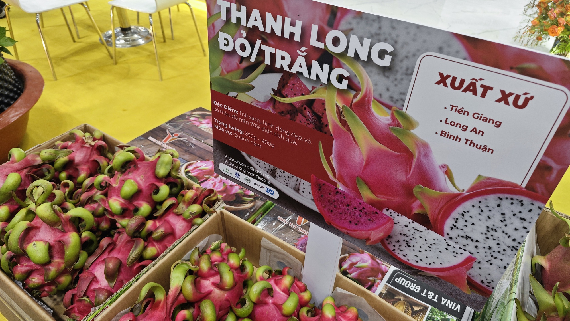 Quả thanh long “tỉ đô” giờ xuất khẩu ra sao? - Ảnh 1