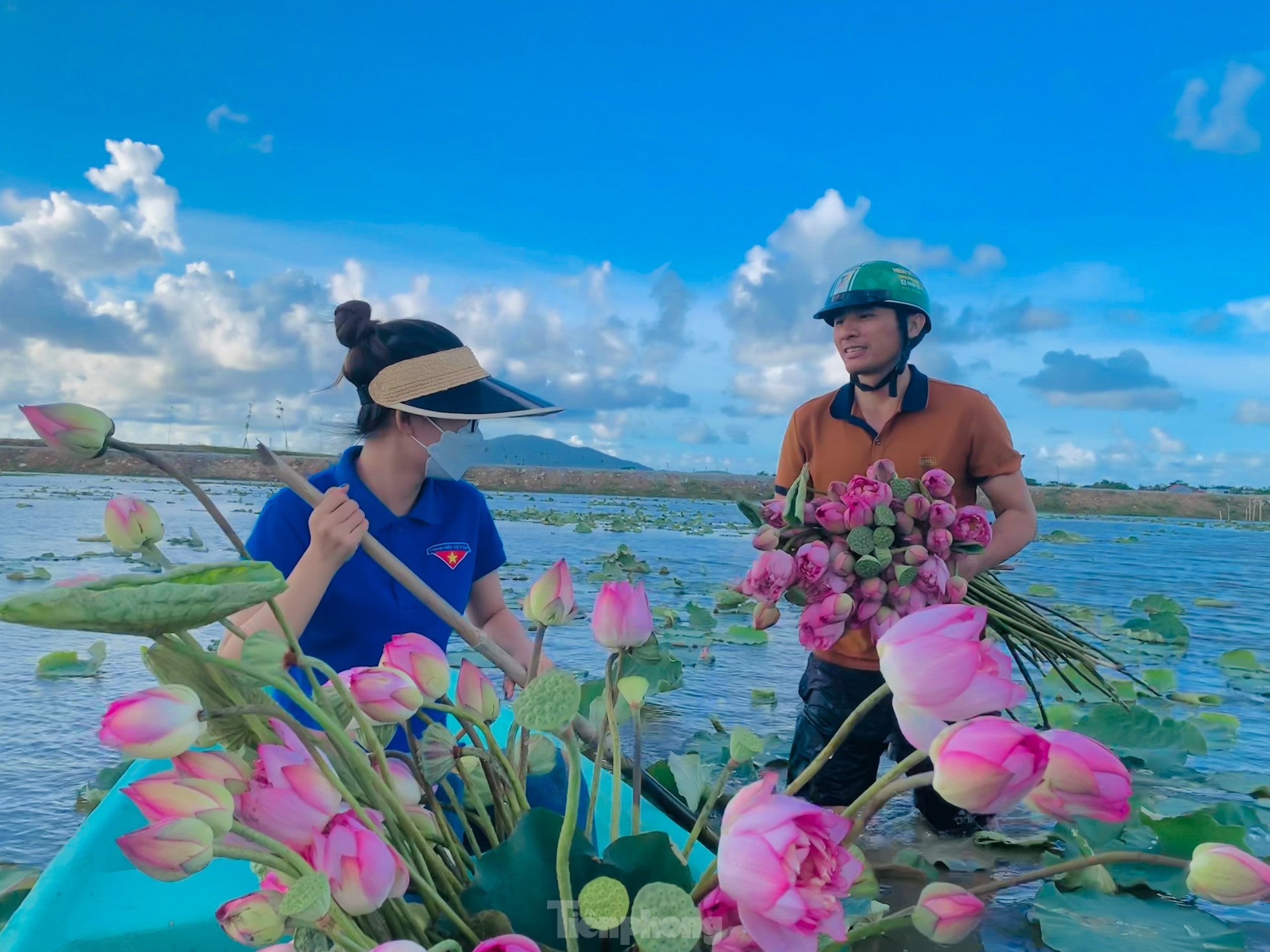 Ra đầm hái sen lúc rạng sáng, mỗi ngày thu tiền triệu - Ảnh 14