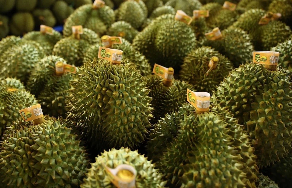 Vì sao “vua quả” Việt Nam lại thắng lớn trên thế giới, bất chấp 2 đối thủ cực mạnh ở Đông Nam Á? - Ảnh 2