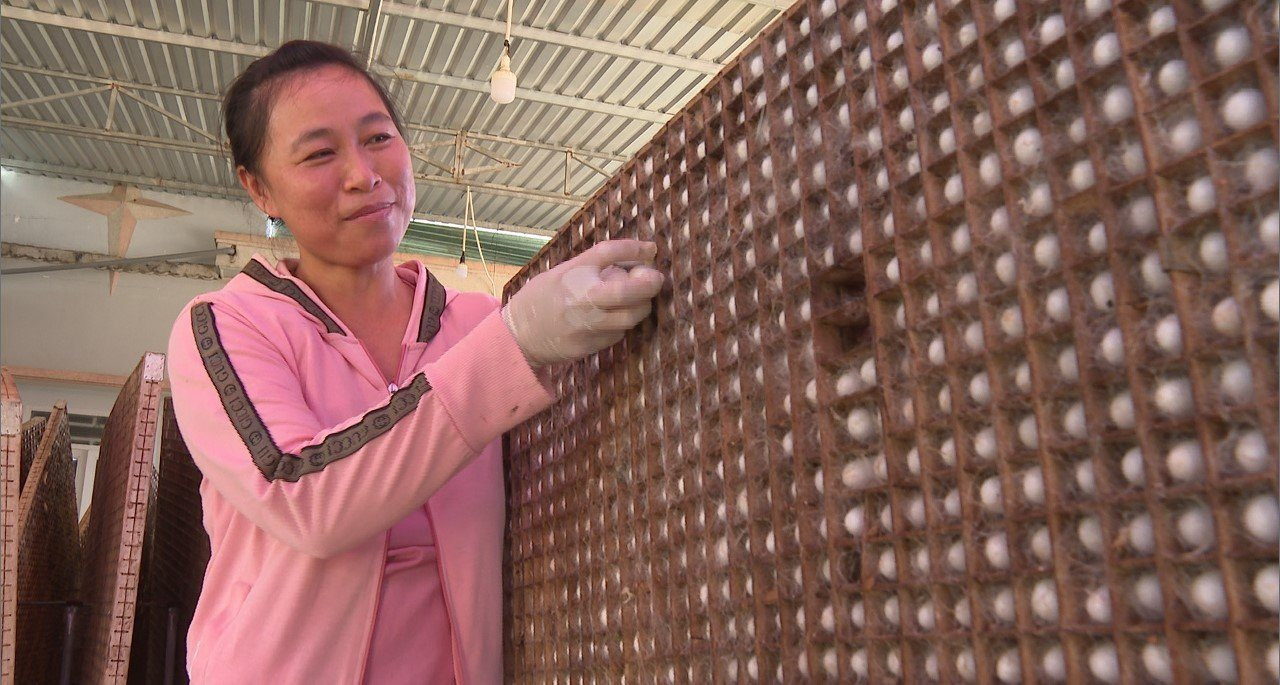 Nuôi 1 hộp côn trùng 20 ngày, nông dân lãi bằng nuôi heo cả năm - Ảnh 1