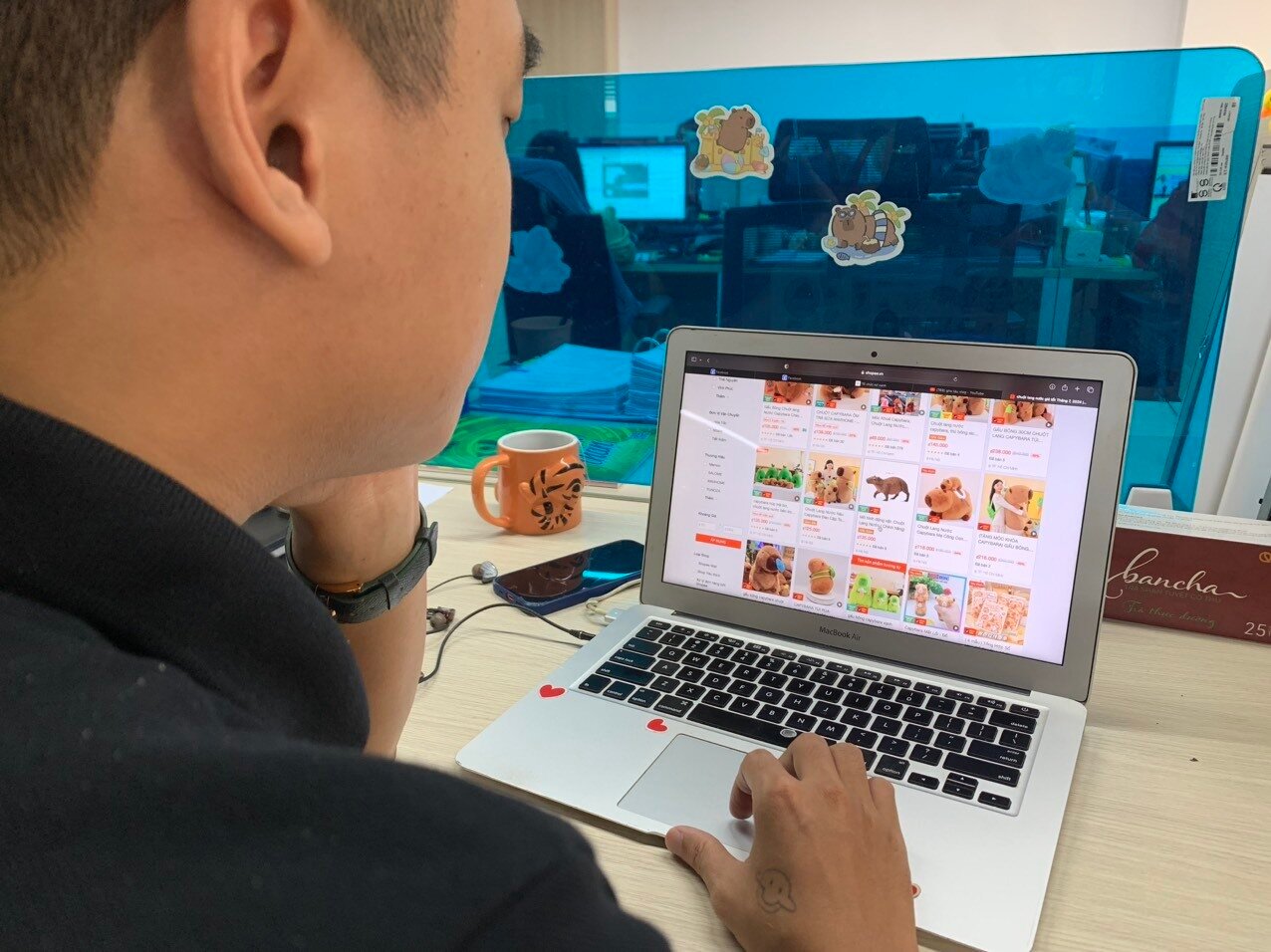 Vì sao chuột Capybara được giới trẻ Việt săn lùng, mê điên đảo? - Ảnh 8