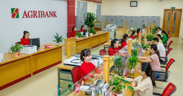 Agribank phát hành 10.000 tỷ đồng trái phiếu ra công chúng năm 2024