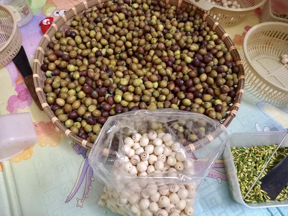 Kiếm tiền triệu nhờ thu hoạch hạt sen cuối vụ - Ảnh 11