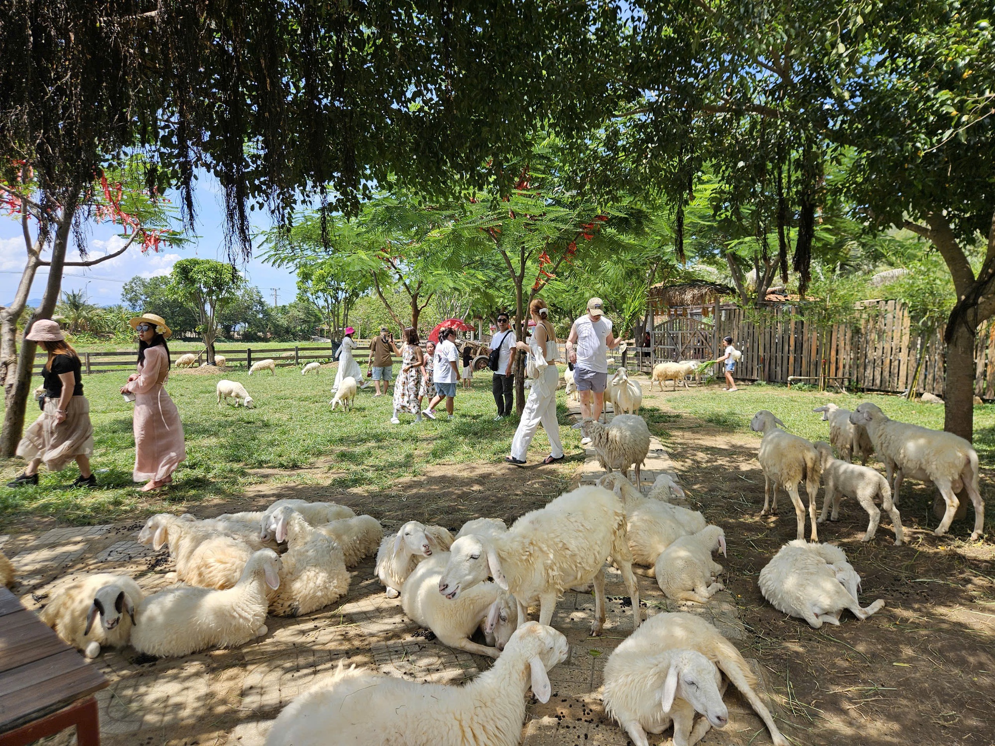 Du lịch lễ 2-9 chưa sôi động - Ảnh 1