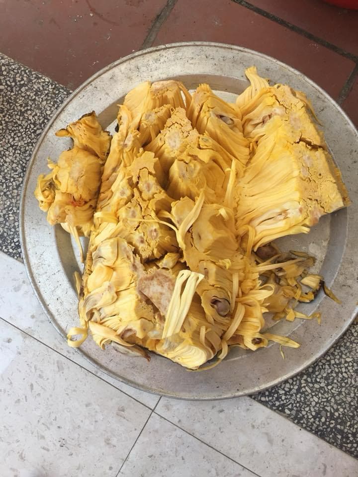 Quả mít nặng nhất Việt Nam hiện nay: Kích thước "khủng", "xô đổ" cả kỷ lục thế giới? - Ảnh 9