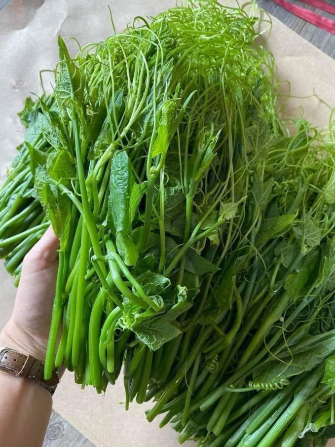 2 món ăn cực phổ biến trong mâm cơm Việt lọt top "món xào ngon nhất thế giới" - Ảnh 5