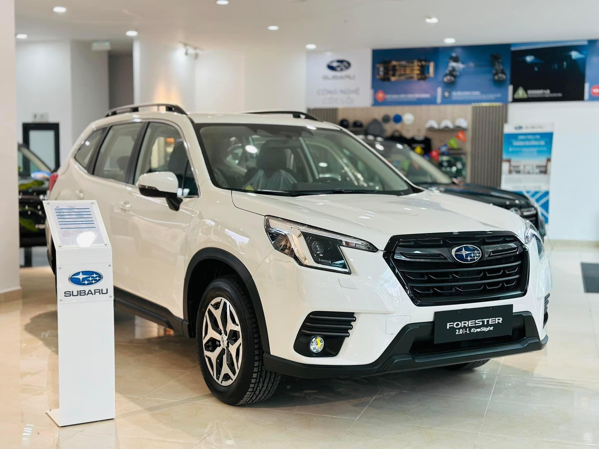 Câu hỏi khó lúc này: Mua Subaru Forester nhập Thái lúc này hay chờ bản mới nhập Nhật? - Ảnh 1