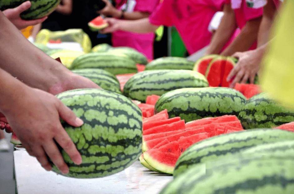 Nguồn gốc thực sự của dưa hấu ở đâu? - Ảnh 4