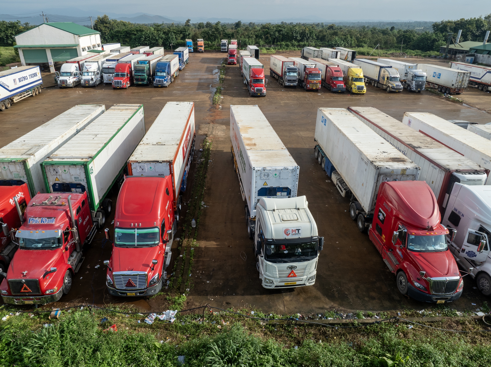 Rộn ràng ngày mùa ở thủ phủ sầu riêng Đắk Lắk - Ảnh 4