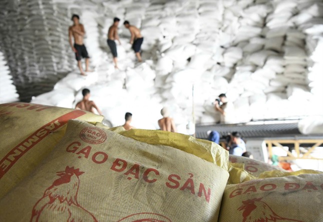 Giá gạo tăng cao, dự báo xuất khẩu lập kỷ lục - Ảnh 1