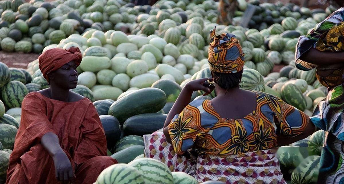 Nguồn gốc thực sự của dưa hấu ở đâu? - Ảnh 3