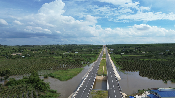 Nông dân trồng thanh long mất trắng sau trận ngập lịch sử: Chưa rõ nguyên nhân! - Ảnh 2