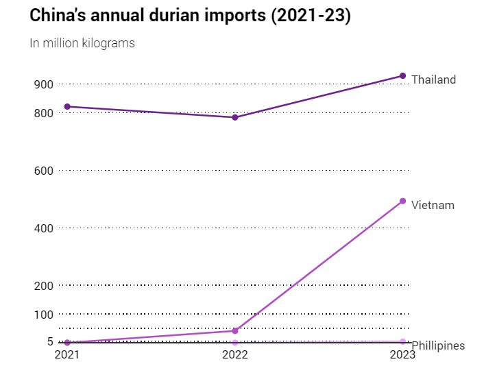 Sau Thái Lan và Malaysia, sắp xuất hiện thêm một đối thủ sầu riêng của Việt Nam tại thị trường Trung Quốc, sản lượng 'khủng' 1,85 triệu tấn trong năm 2023 - Ảnh 2