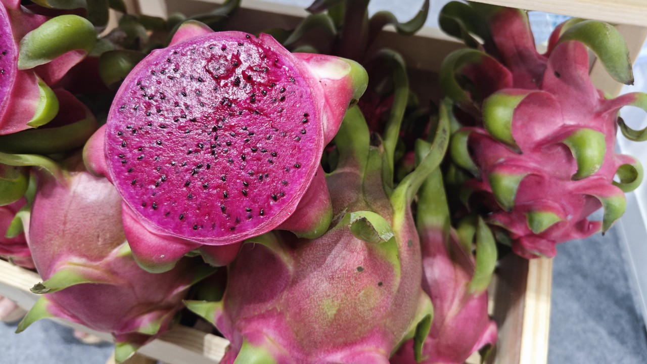 Chỉ 1 lô ớt, thanh long nhỏ vi phạm, ảnh hưởng cả ngành hàng - Ảnh 2