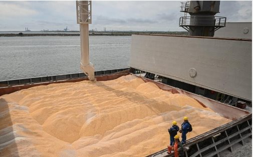 Giá siêu rẻ, một loại nông sản từ Ukraine đổ bộ Việt Nam tăng 900% trong nửa đầu năm: Thế giới ngày càng khan hiếm, Việt Nam chưa trồng được - Ảnh 1