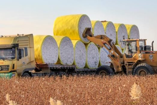 "Báu vật' từ Brazil đổ bộ Việt Nam với giá rẻ bất ngờ: Được mệnh danh vàng trắng trên cây, nước ta tiêu thụ đứng thứ 3 thế giới - Ảnh 1