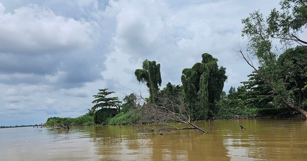 Quay cuồng trong cơn khát cát: Cát tặc hoành hành, bãi cồn teo tóp