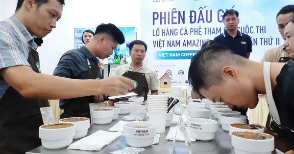 Cà phê đặc sản "ngon nhất Việt Nam" được chốt giá 1,2 triệu đồng/kg