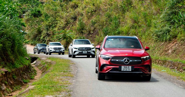 600 km chinh phục cung đường rừng và biển cùng 12 chiếc Mercedes-Benz