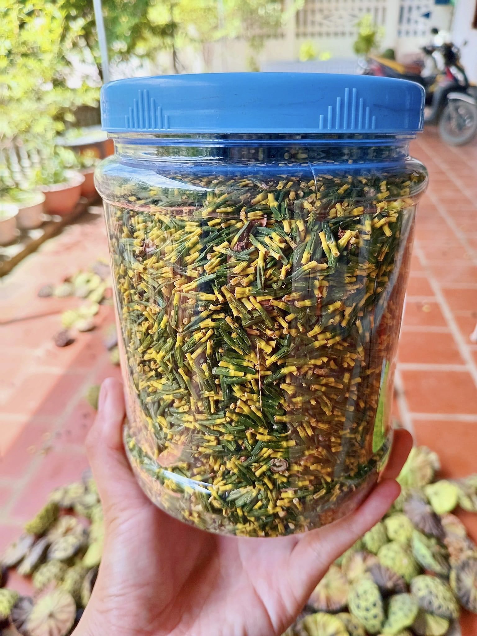 Kiếm tiền triệu nhờ thu hoạch hạt sen cuối vụ - Ảnh 15