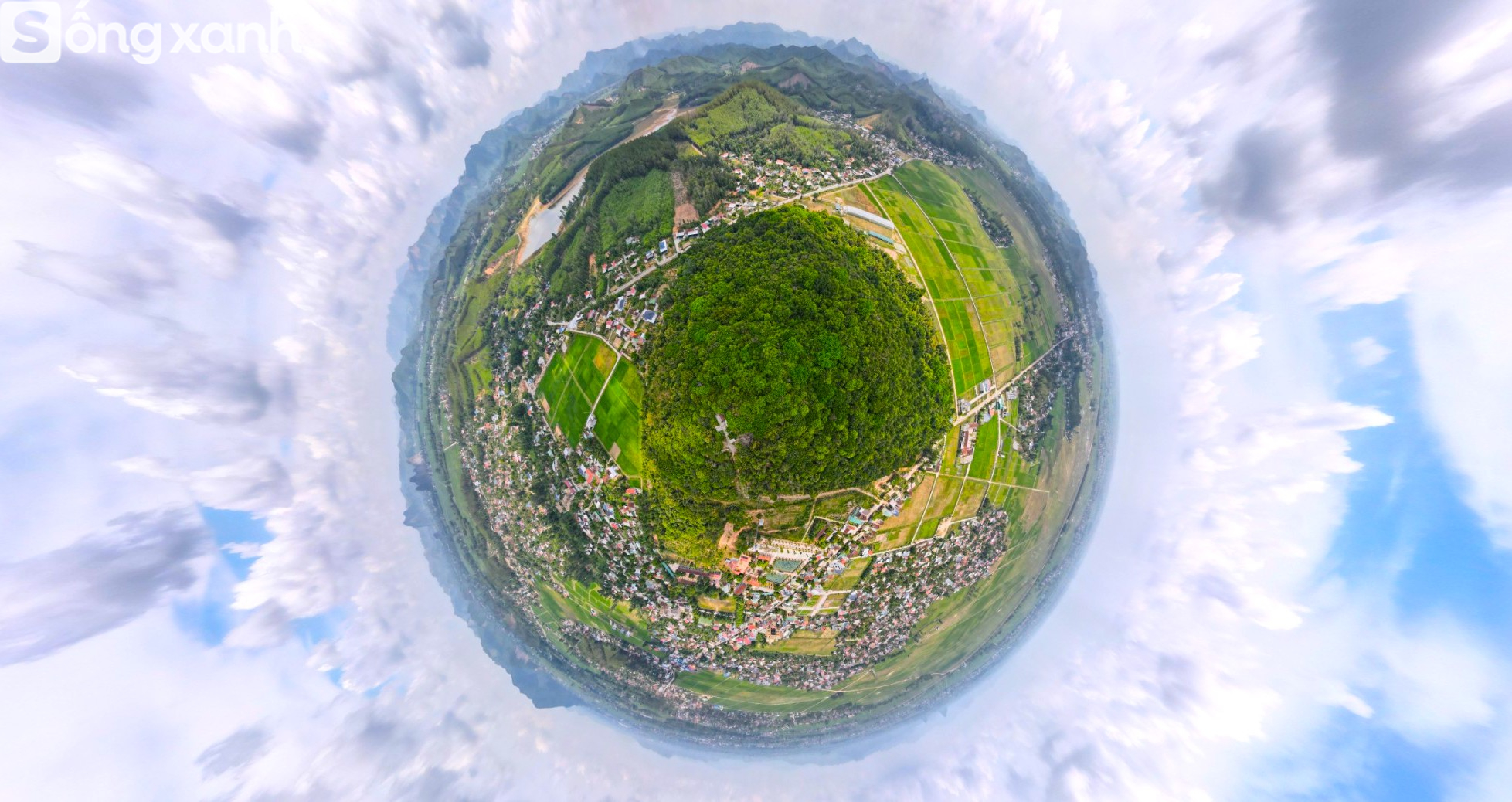 Bí mật về điều cấm kị chưa từng có để giữ "báu vật" hàng trăm năm tuổi ở khu rừng hiếm bậc nhất Việt Nam - Ảnh 1