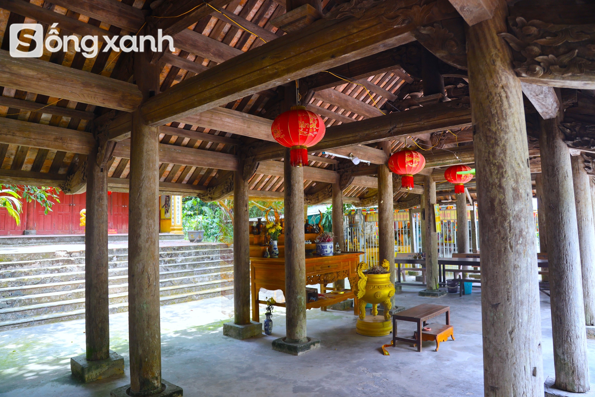 Bí mật về điều cấm kị chưa từng có để giữ "báu vật" hàng trăm năm tuổi ở khu rừng hiếm bậc nhất Việt Nam - Ảnh 3