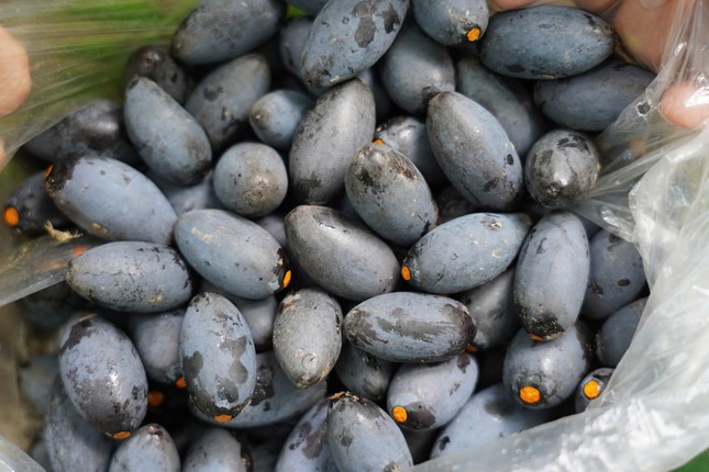 Thủ phủ quả ngon nức tiếng mất mùa - Ảnh 2