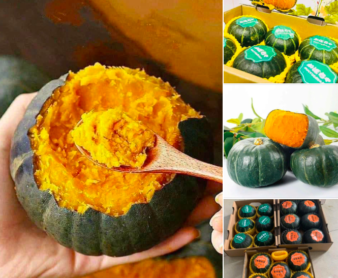 Bí ngô Trung Quốc gây sốt trên các chợ mạng, được quảng cáo "ngon nhất thế giới" - Ảnh 1