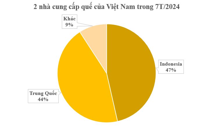 Một loại cây lấy vỏ đưa Việt Nam trở thành ông trùm mặt hàng đặc biệt này của thế giới: VN trồng hơn 180.000 ha, là cây gia vị lâu đời nhất thế giới - Ảnh 2